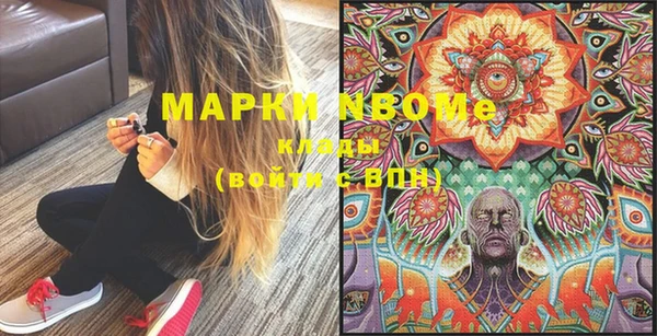 гашик Кулебаки