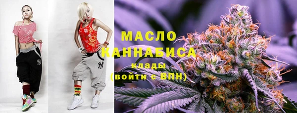 гашик Кулебаки