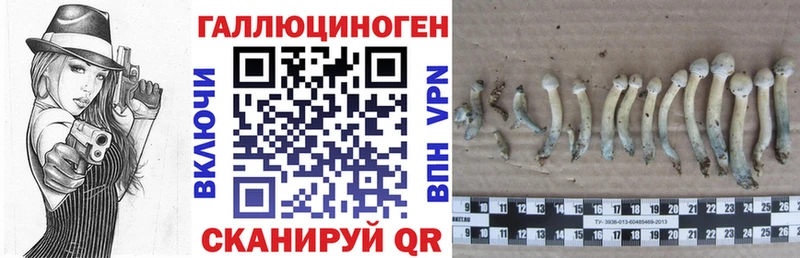 Псилоцибиновые грибы Psilocybine cubensis  Купить  Майкоп 